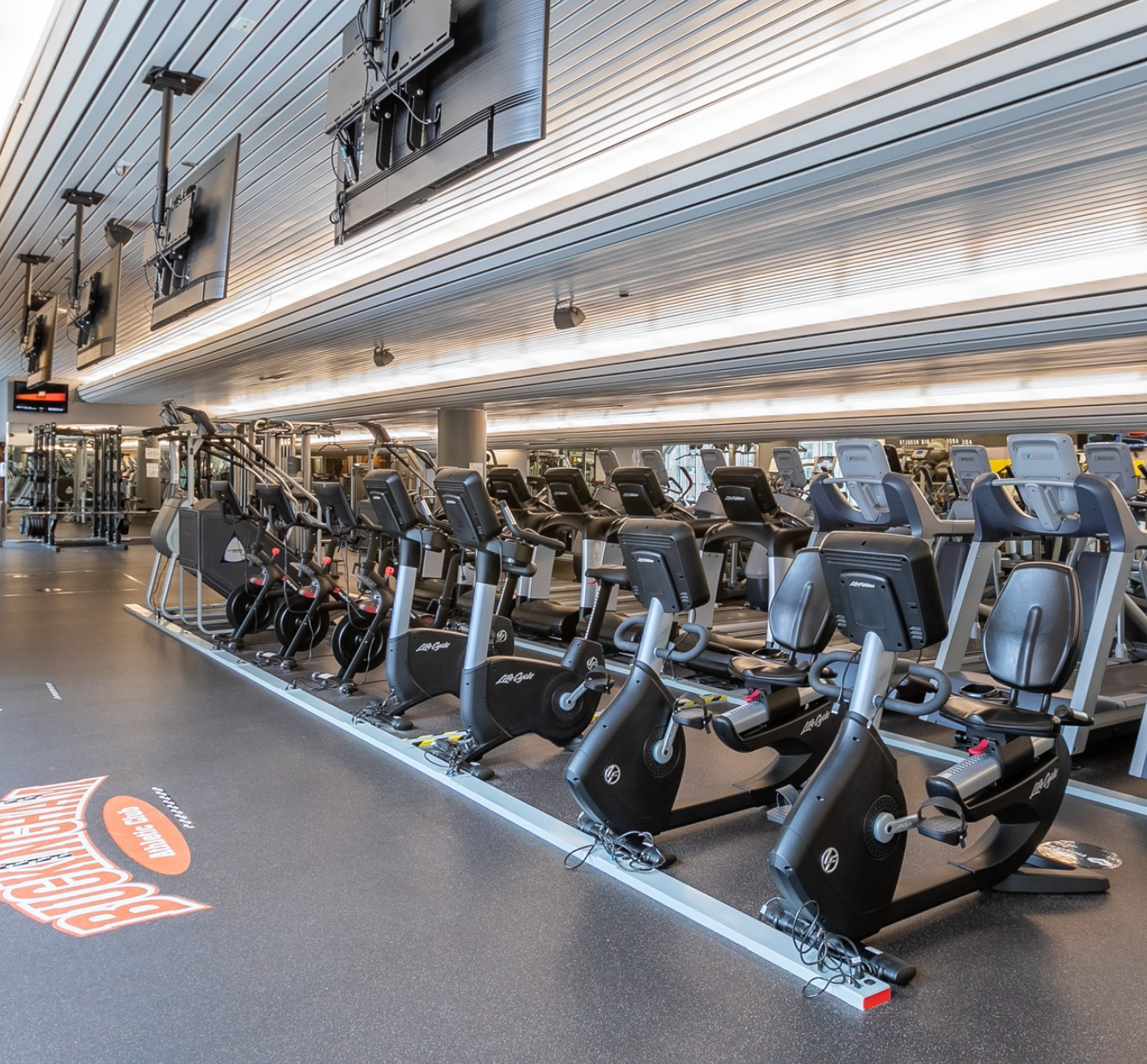 gym2.png