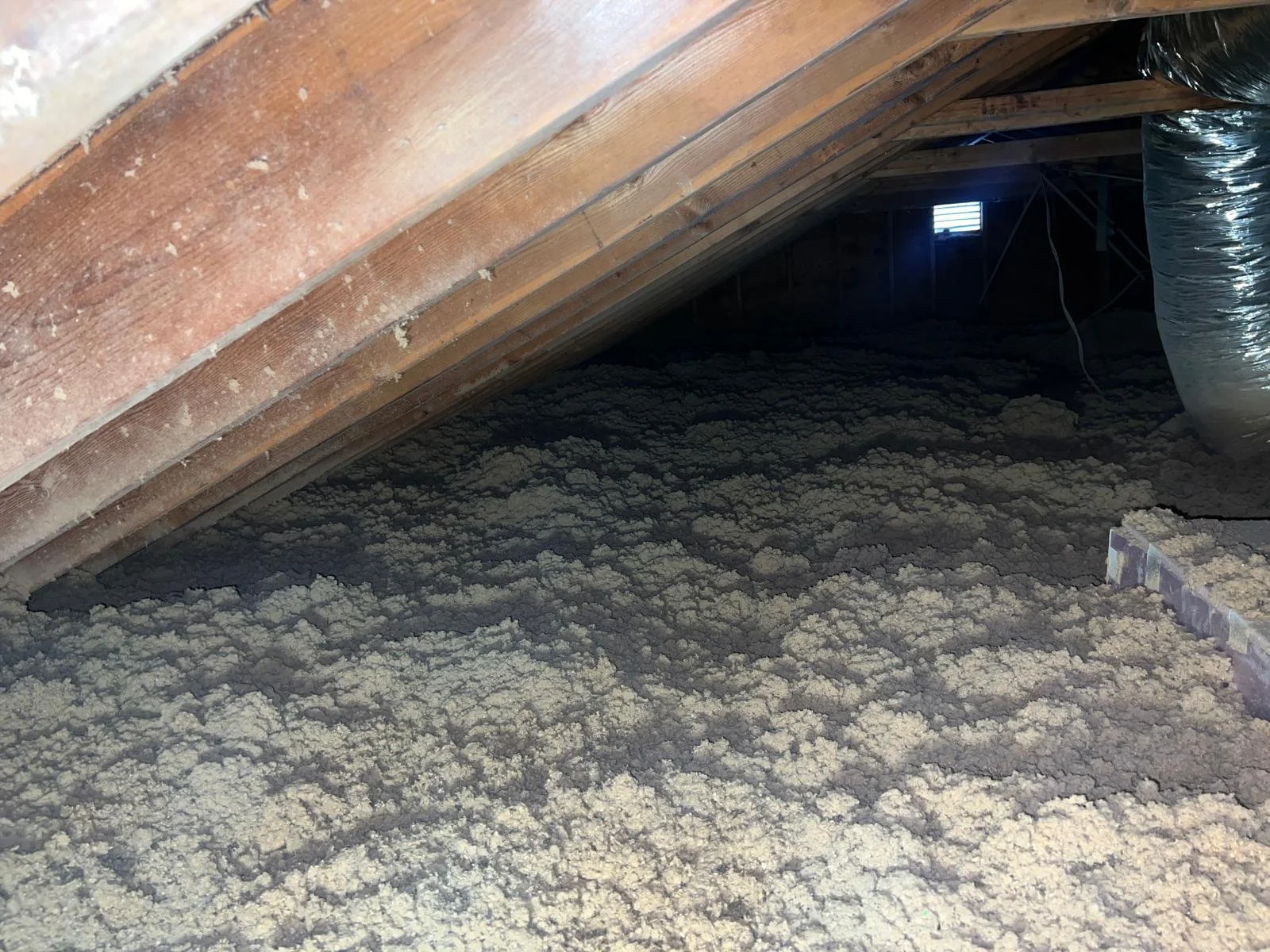 PHOTO-2024-11-18-12-22-54 6.jpg