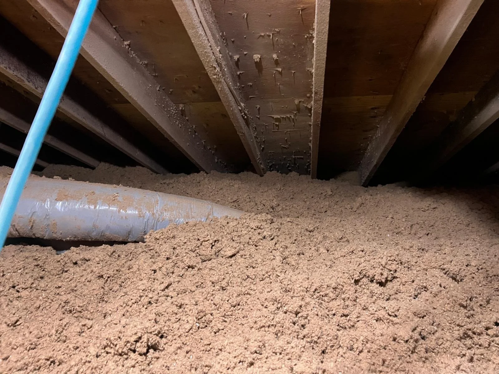 PHOTO-2024-11-18-12-22-54 4.jpg