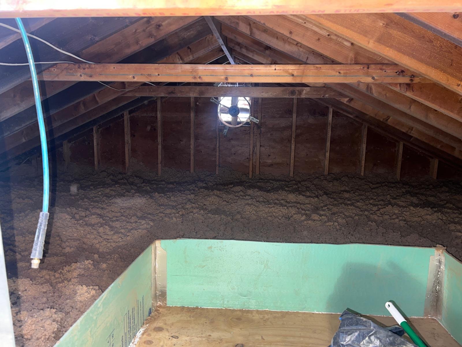 PHOTO-2024-11-18-12-22-54 5.jpg