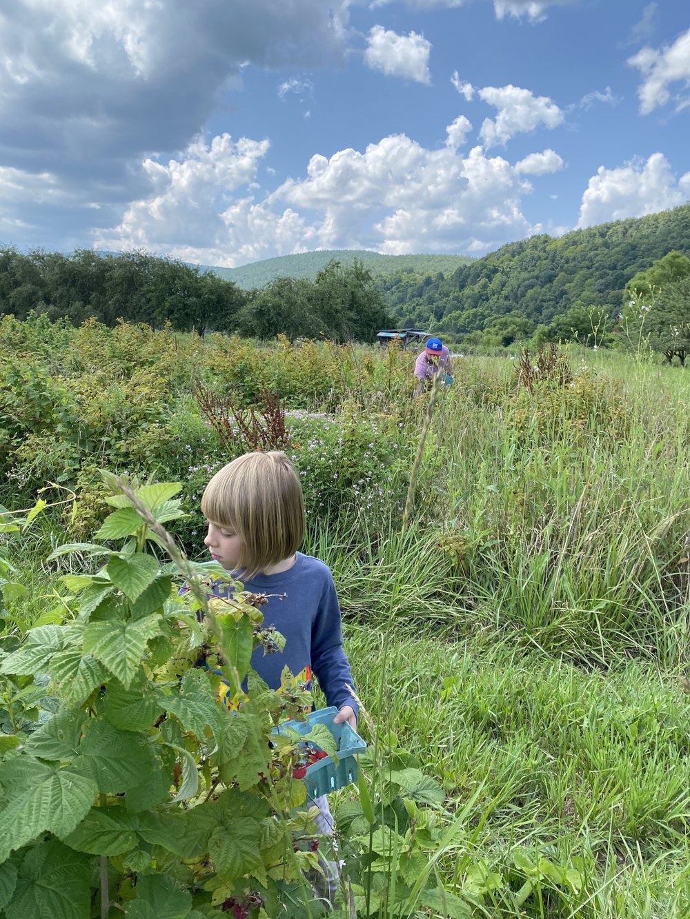 My family picking raspberries at the farm. Photo by me.