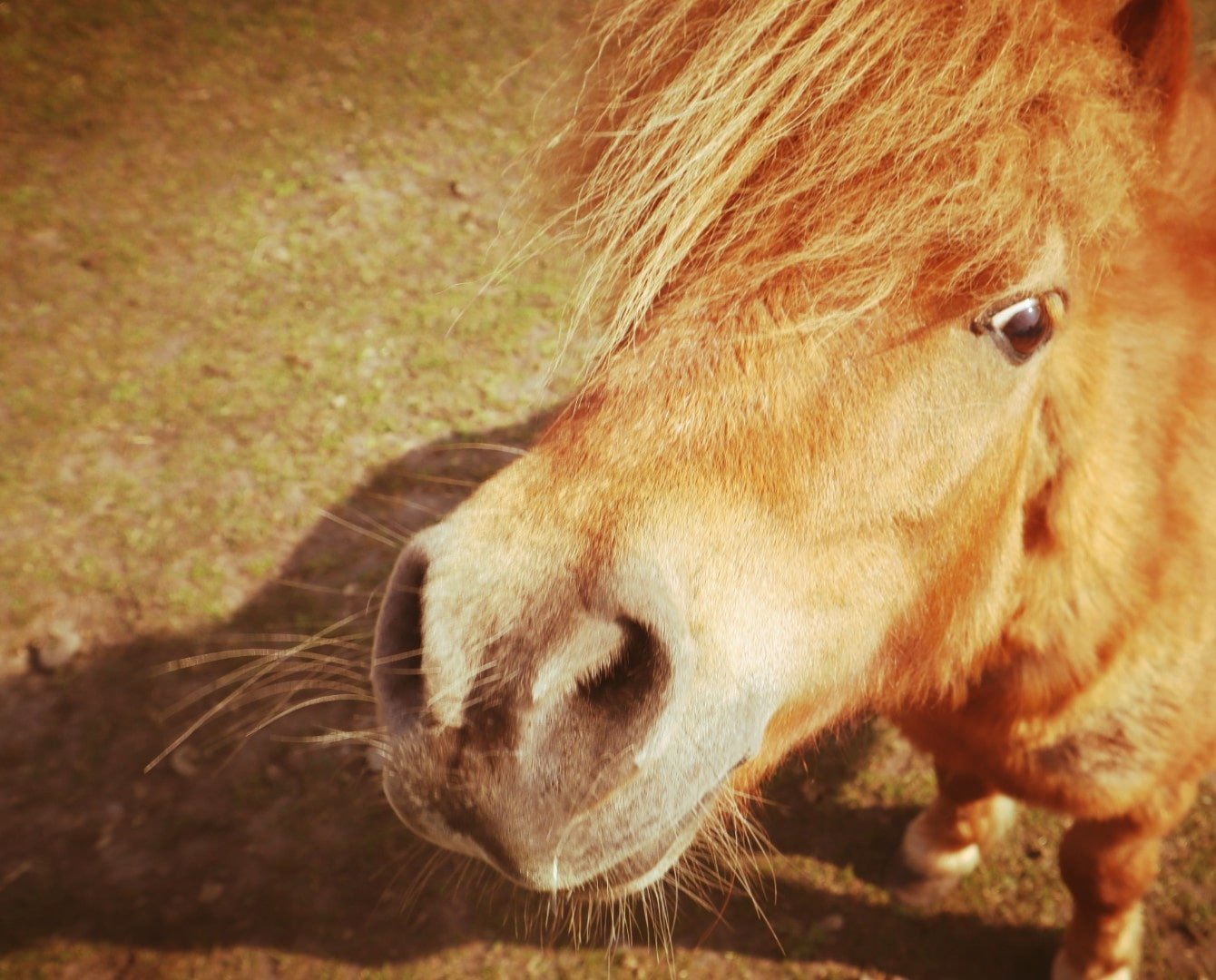 20220429112130_IMG_2671_edit_4702661612823-min (1).jpg