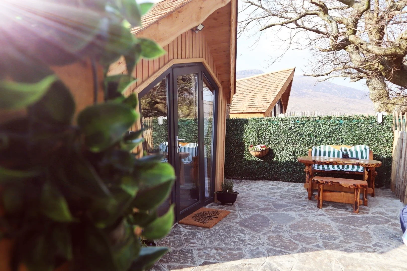 Timber Witches Cabin framed by greenery, with a private stone patio and rustic outdoor seating