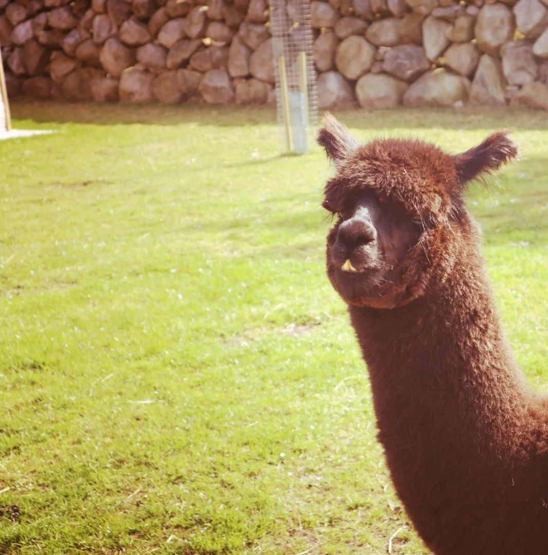 20220429112746_IMG_2684_edit_4601081019610-min (1).jpg