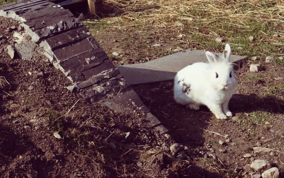 20220429112518_IMG_2675_edit_4669477325328-min (1).jpg