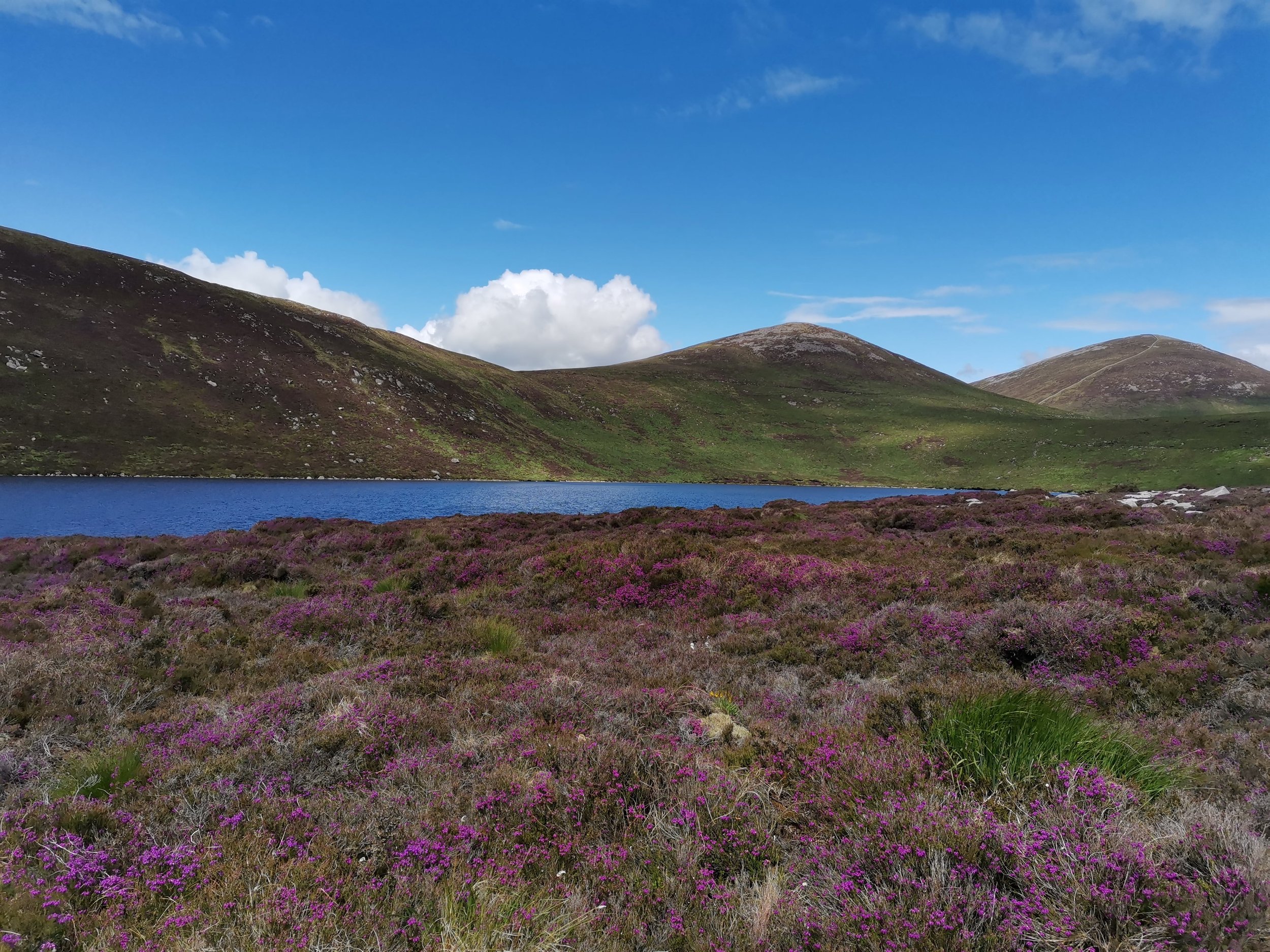 lough shannagh -min.jpg