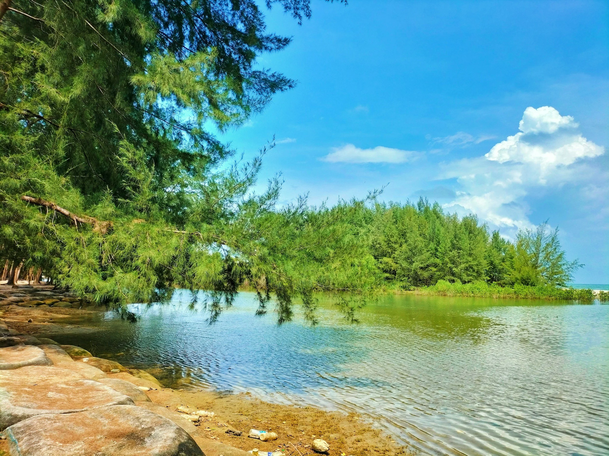Contractor conducting site visit at East Tennessee waterfront property
