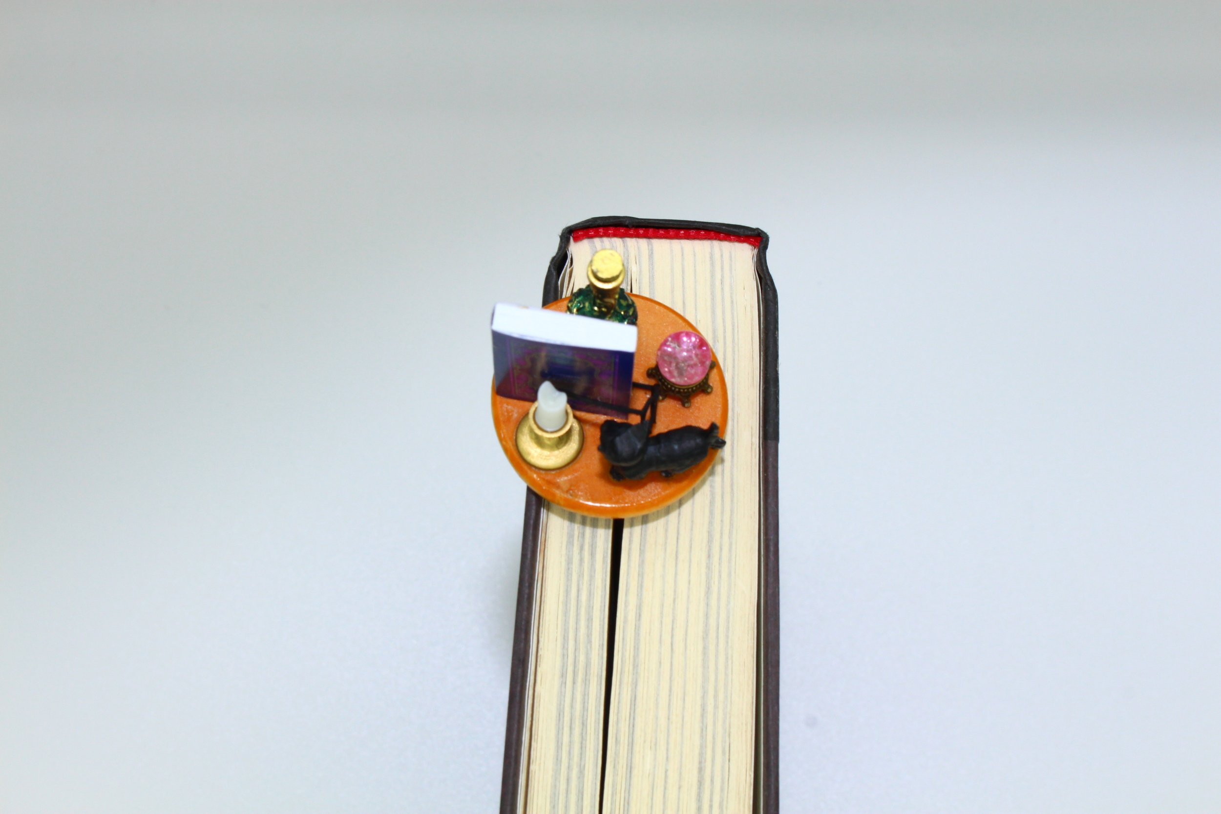 THE ENCHANTED STUDY 3.JPG