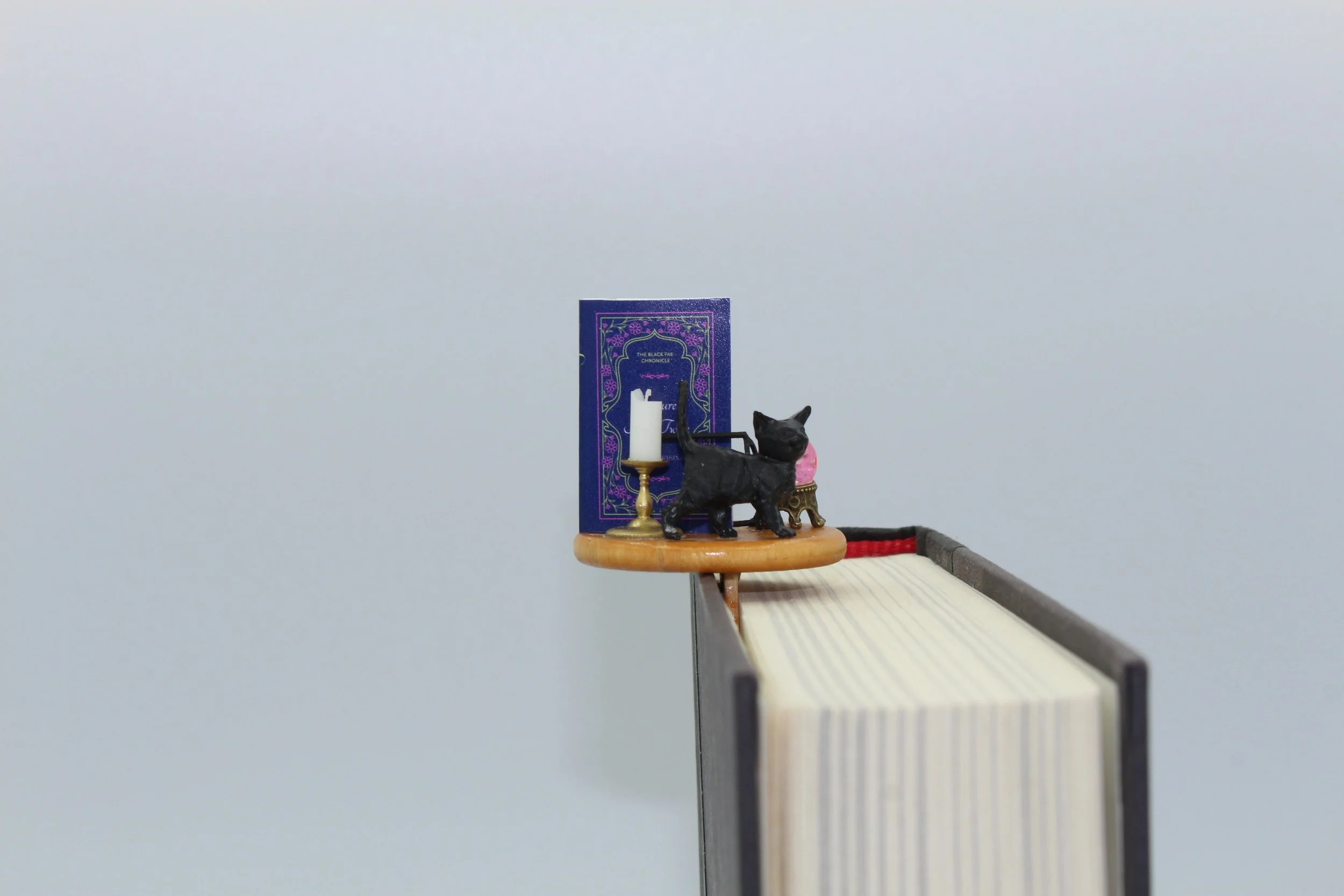 THE ENCHANTED STUDY 1.JPG