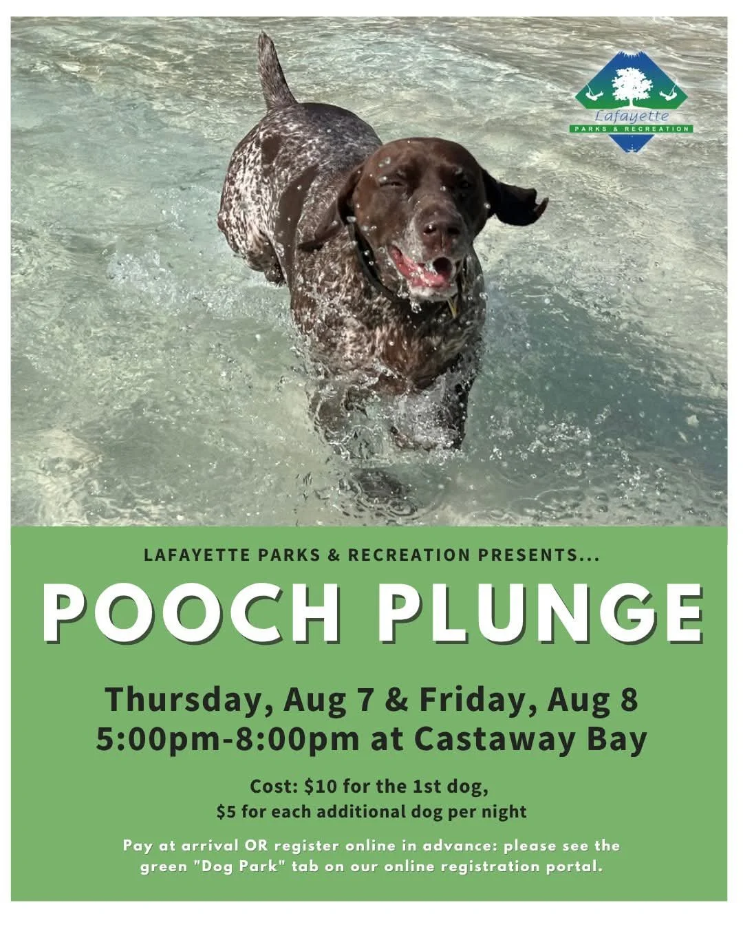 Pooch Plunge