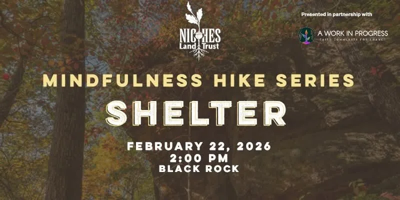 Mindfulness Hike