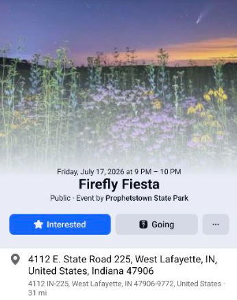 Firefly Fiesta
