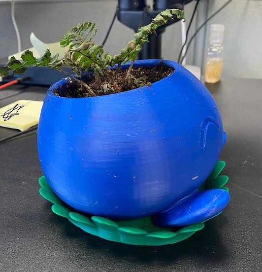 https://i.etsystatic.com/32670942/r/il/88bb92/3586351930/il_fullxfull.3586351930_o0y1.jpg
