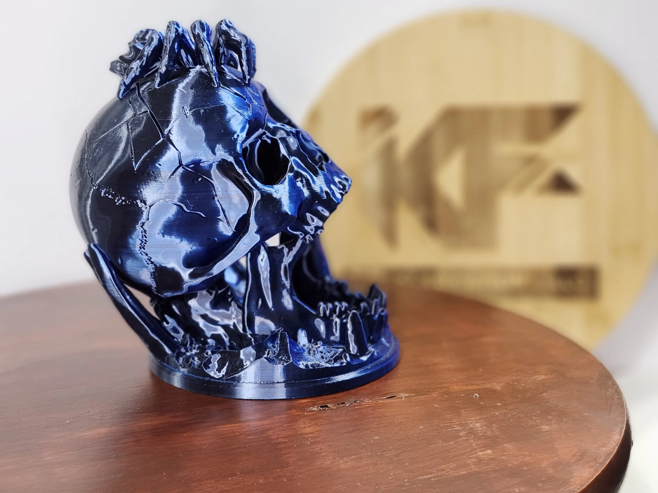 Desert Skull Spider 6.jpg