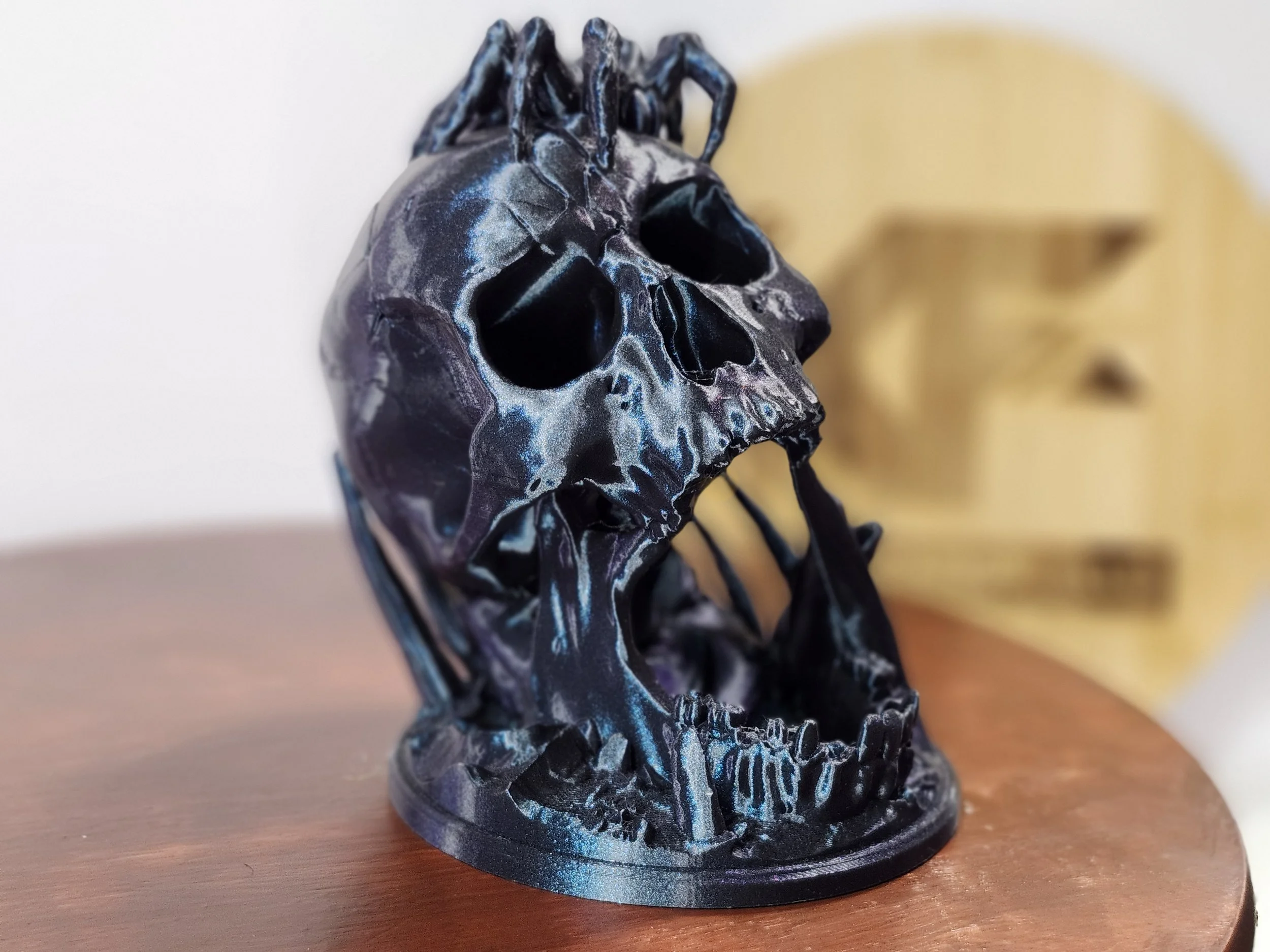 Desert Skull w_ spider 8.jpg