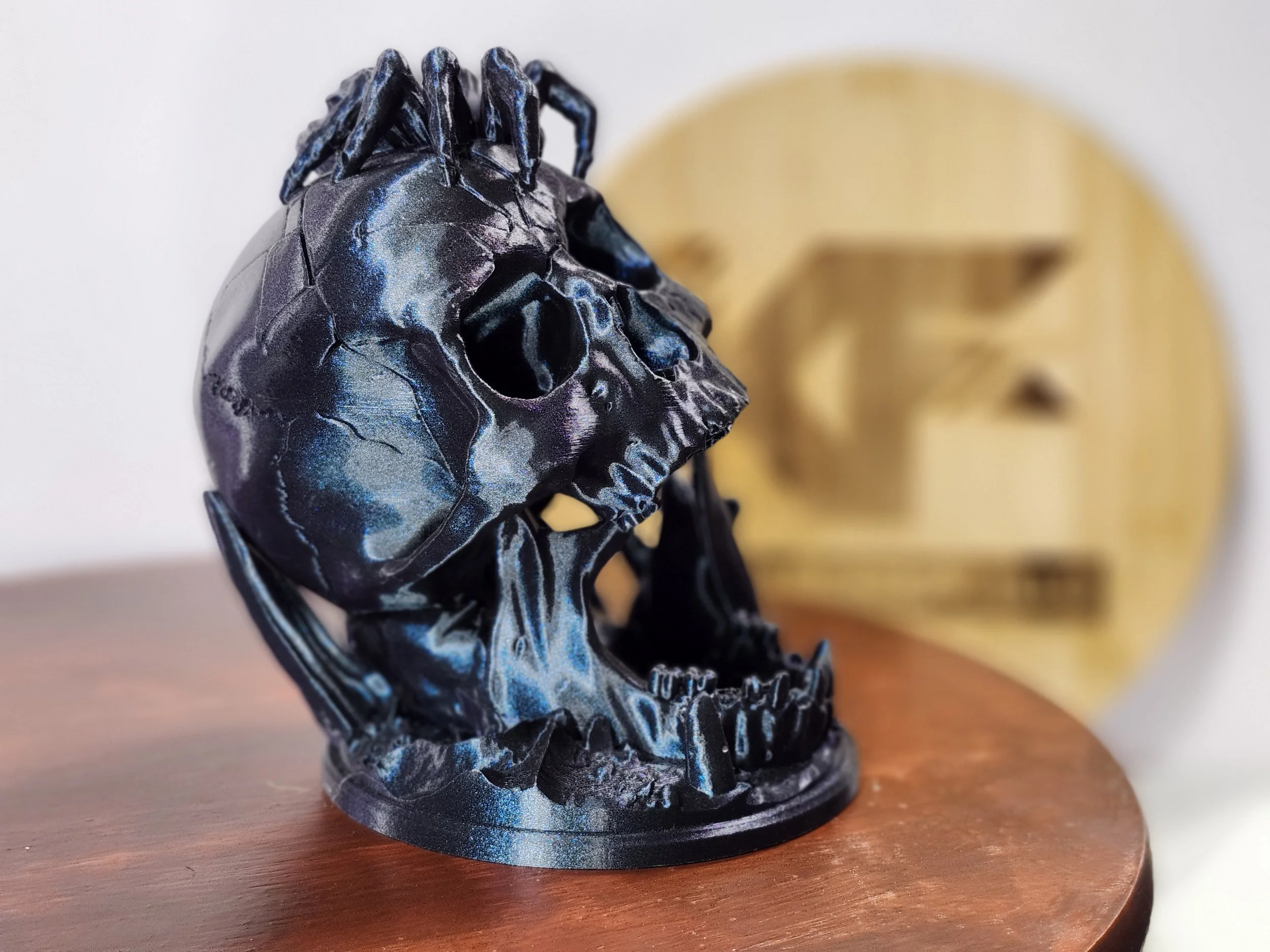 Desert Skull w_ spider 9.jpg