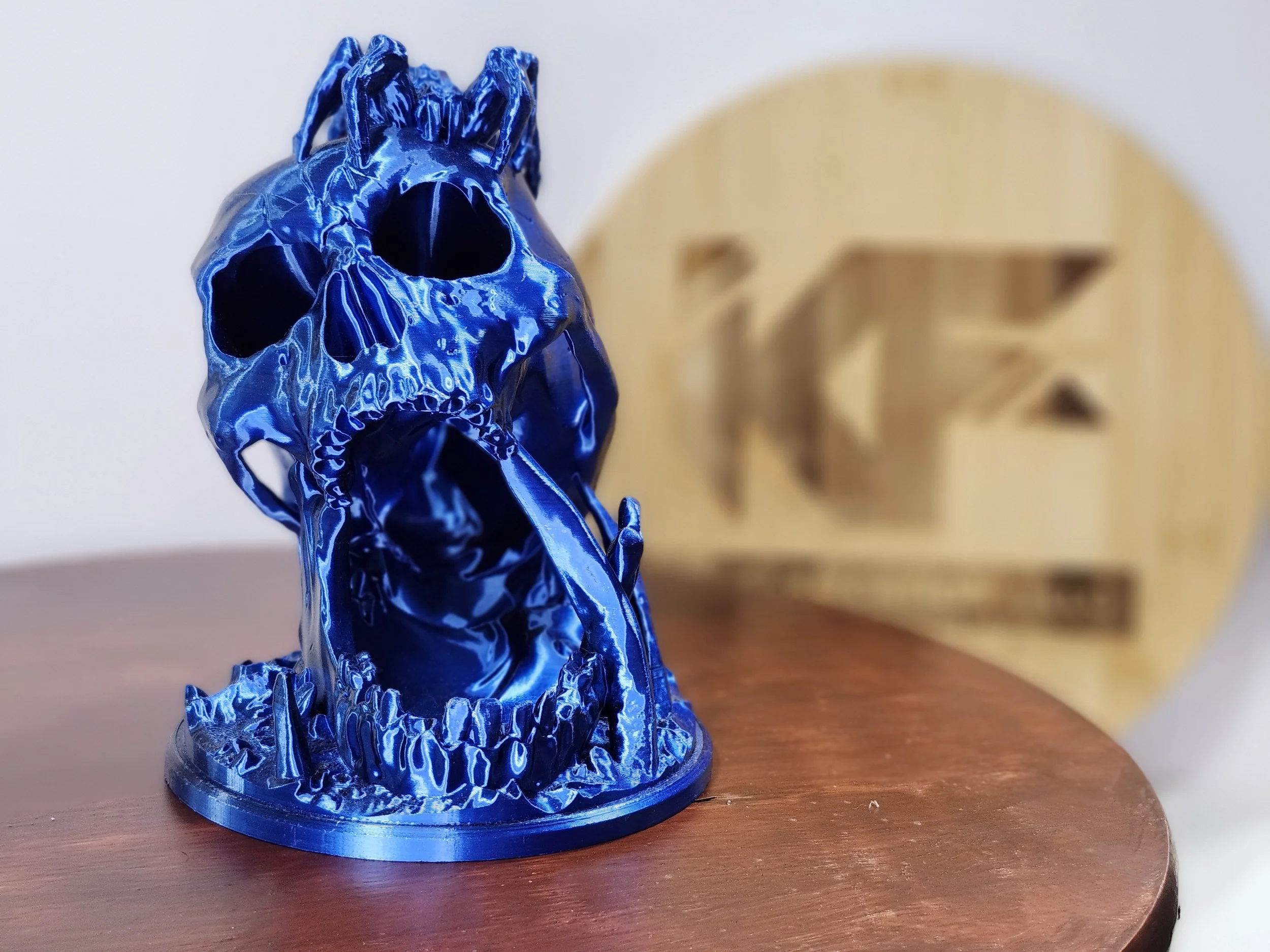 Desert Skull with spider 7.jpg