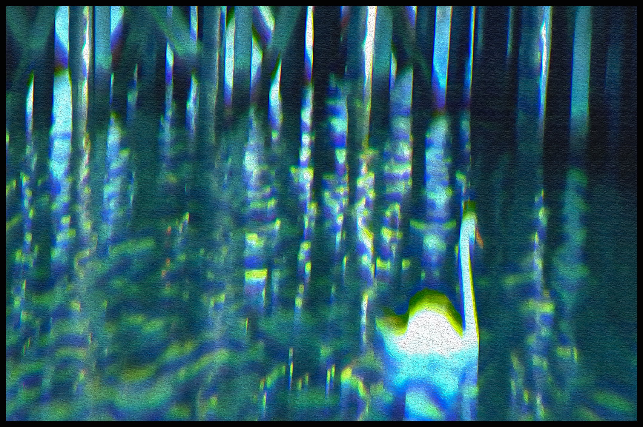 Under the dock