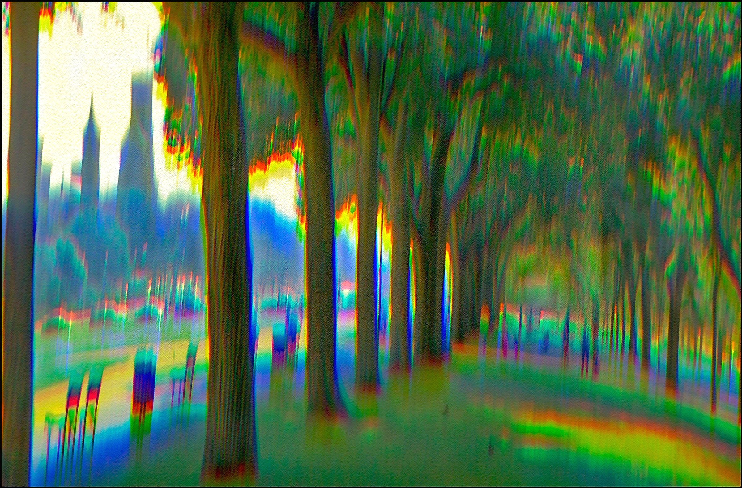 The Mall | Washington, DC