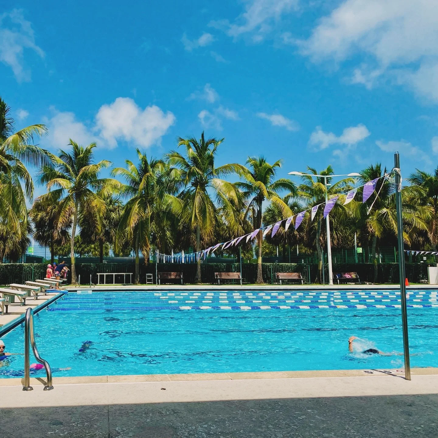 You'll find us here for Saturday lessons 😍