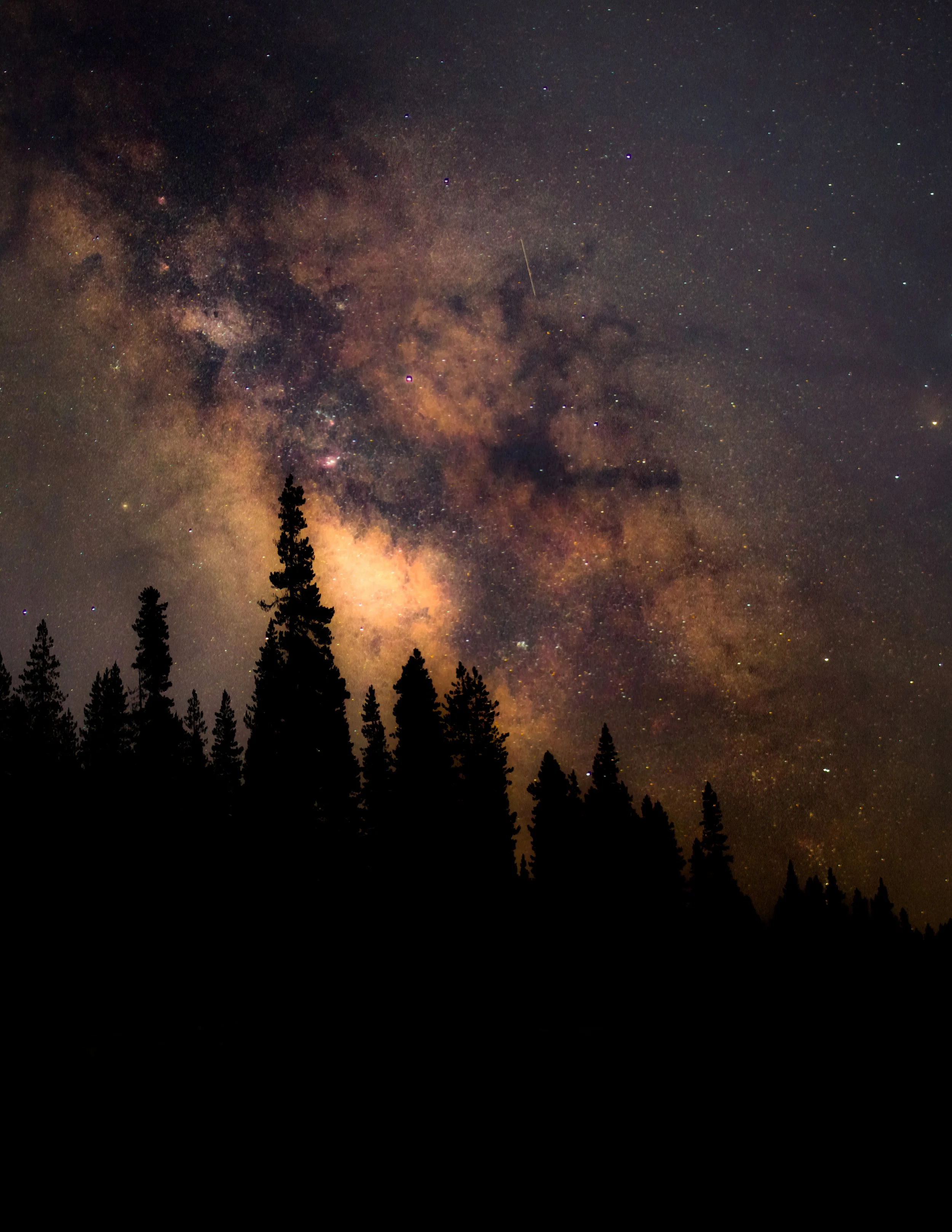 Untitled_Panorama1 final copy.jpg