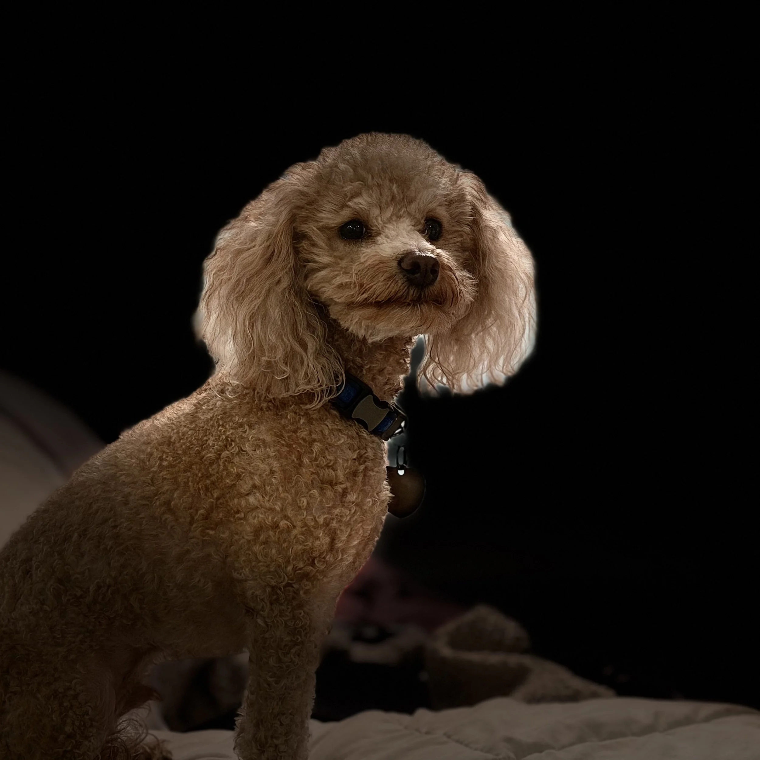 Ajuaa's -Private Party