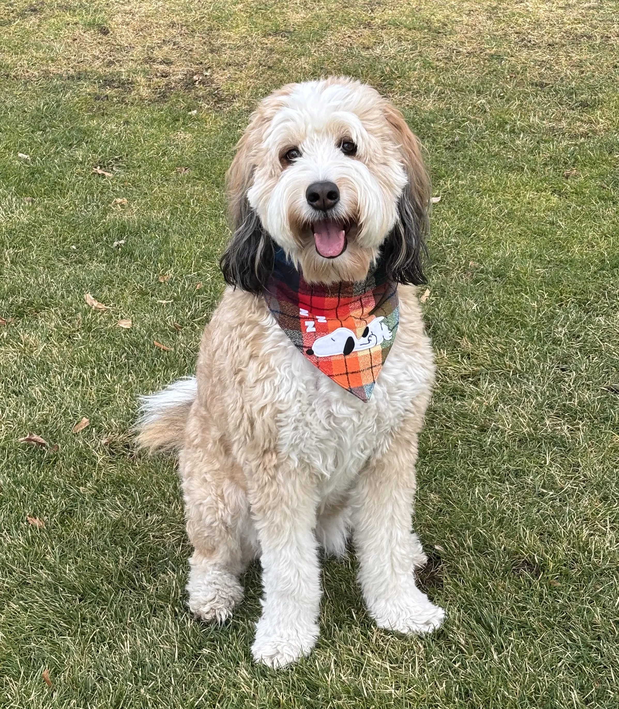 Mocha Sleepy Snoopy.jpeg