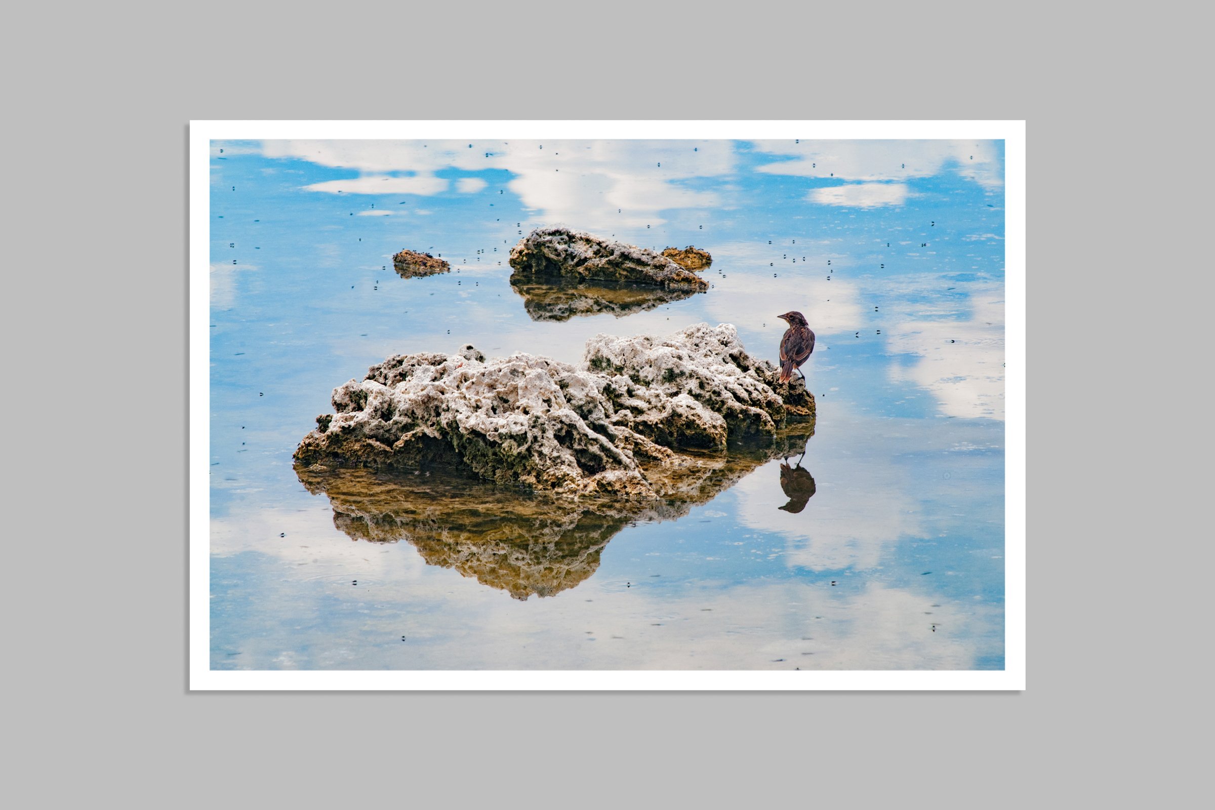 Mini Print Mockup_Sparrow_w.jpg