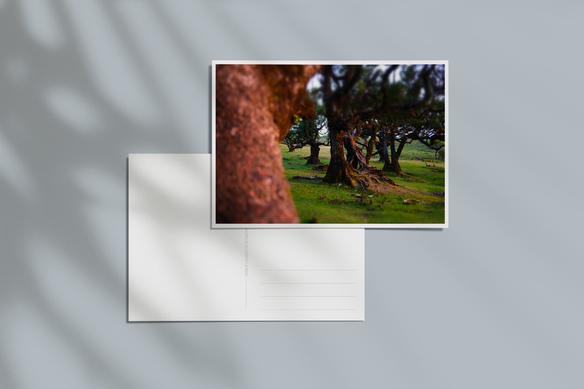 Postcard Madeira 03_w.jpg