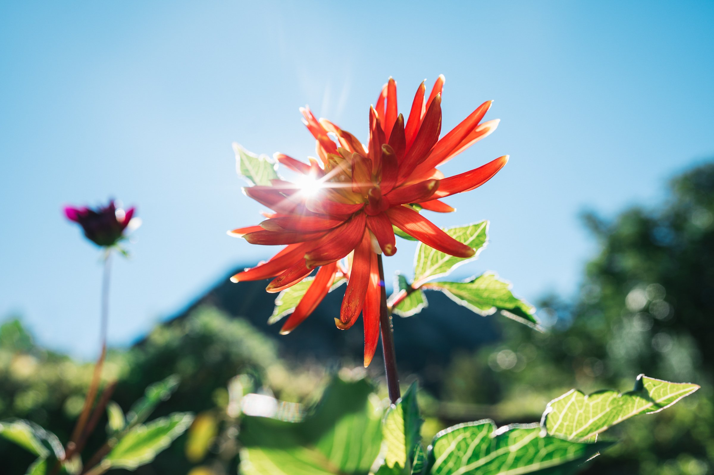 elr_Hotel Bigatt_20220918_393_10x15_w.jpg