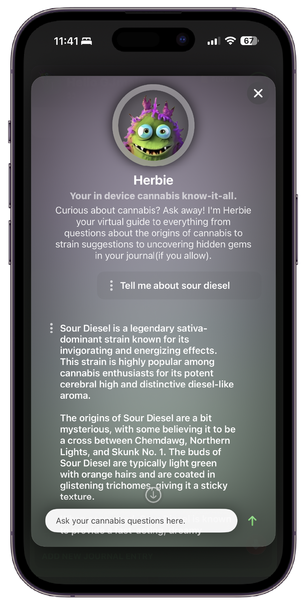 Ask Herbie your cannabis AI budtender.