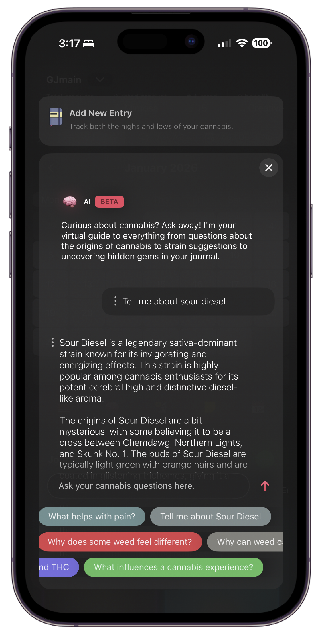 Showing Green Journals AI chat bot feature.