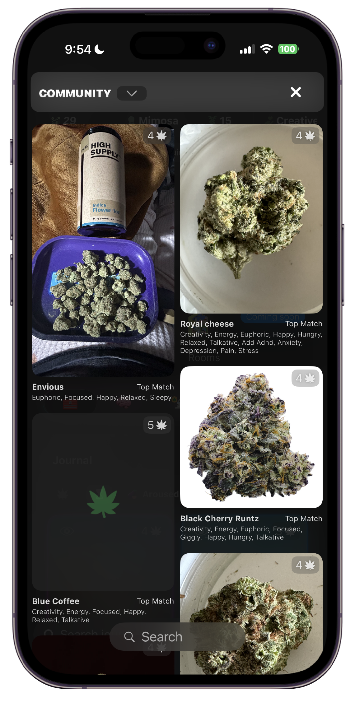 Showing the Green Journal Community page.