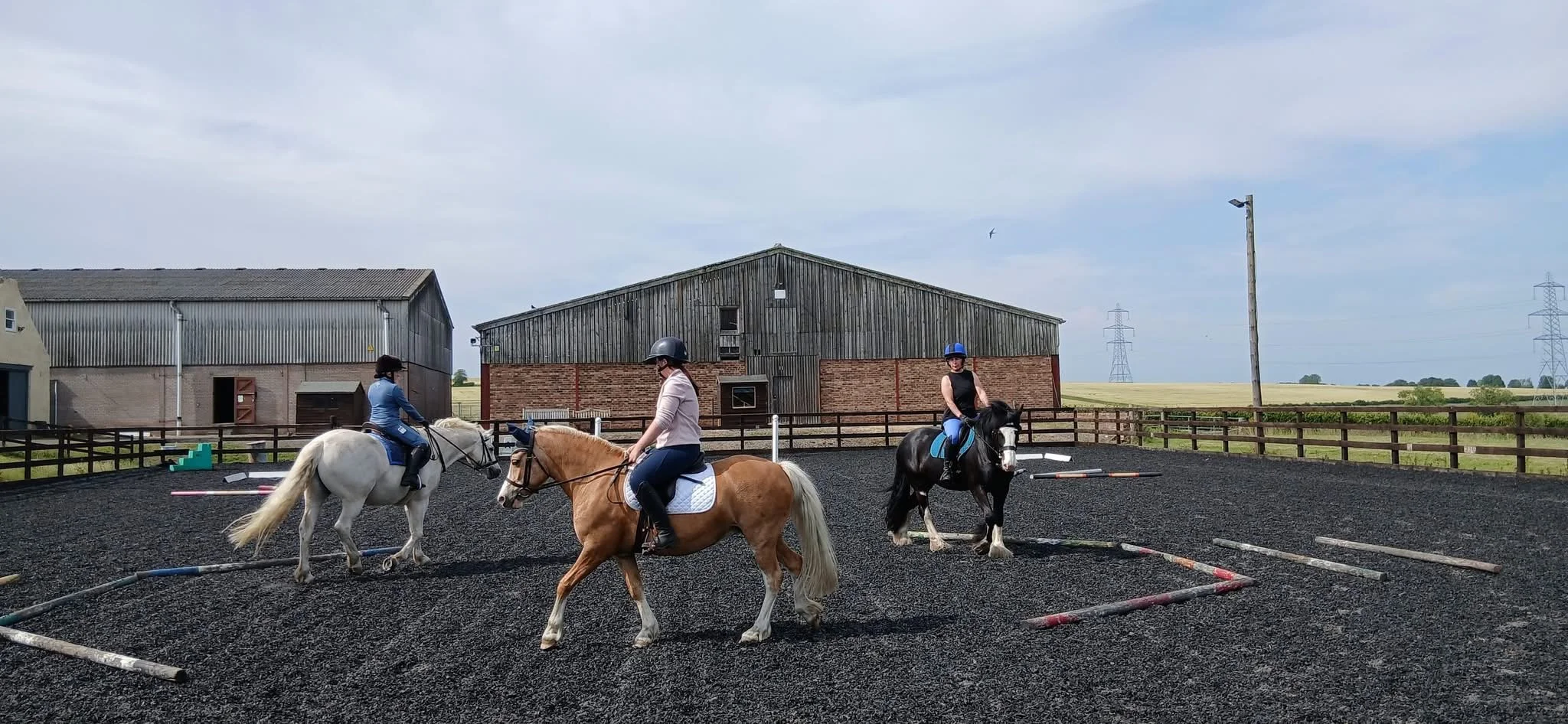 Aimee Gardiner Pole Clinic 