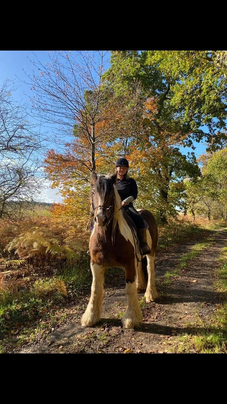 A smiling man in a riding helmet and black jacket standing next to a brown horse with a white star on its forehead, inside a stable.