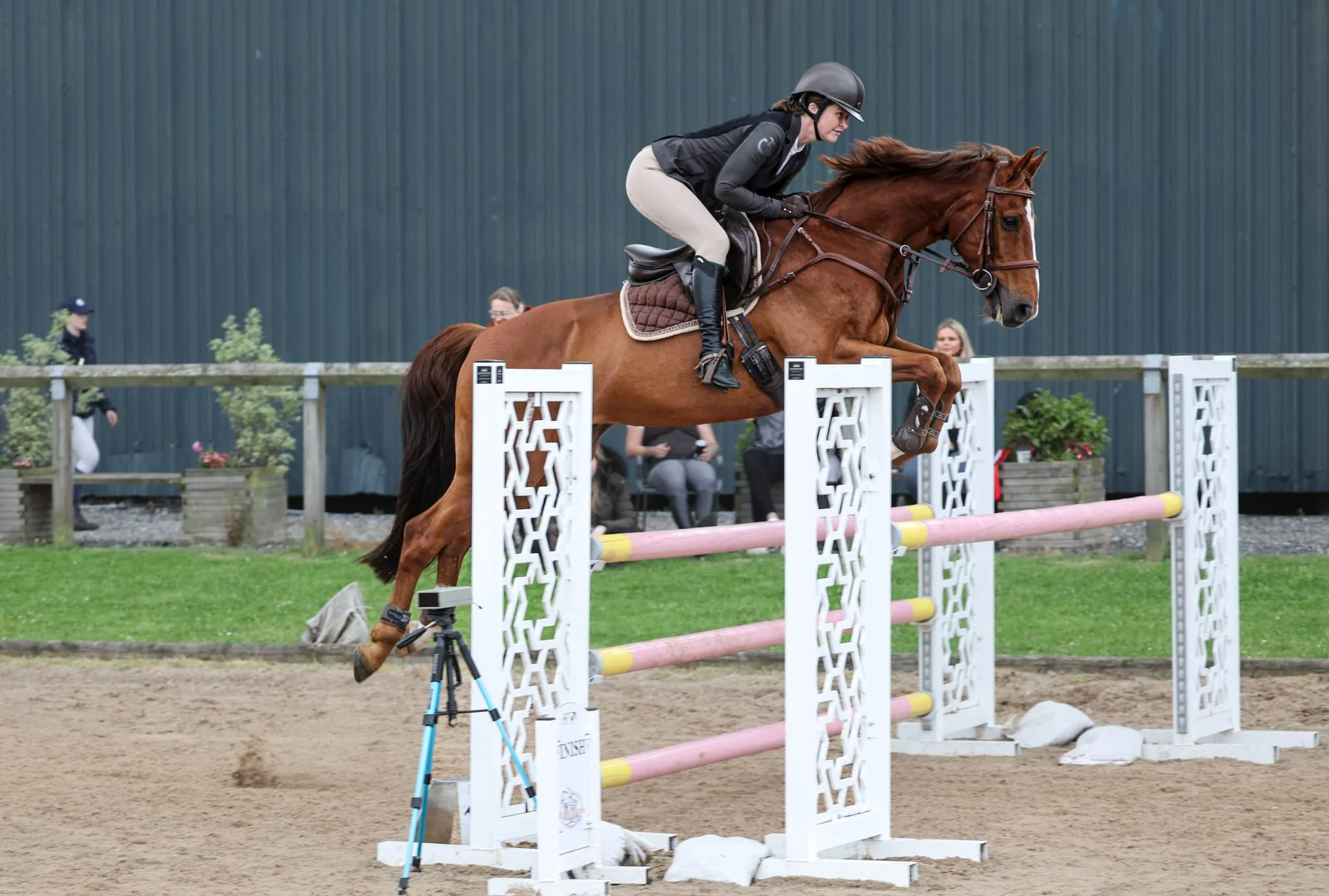 A woman in a black jacket gently holding the face of a brown horse in a green field with trees in the background.