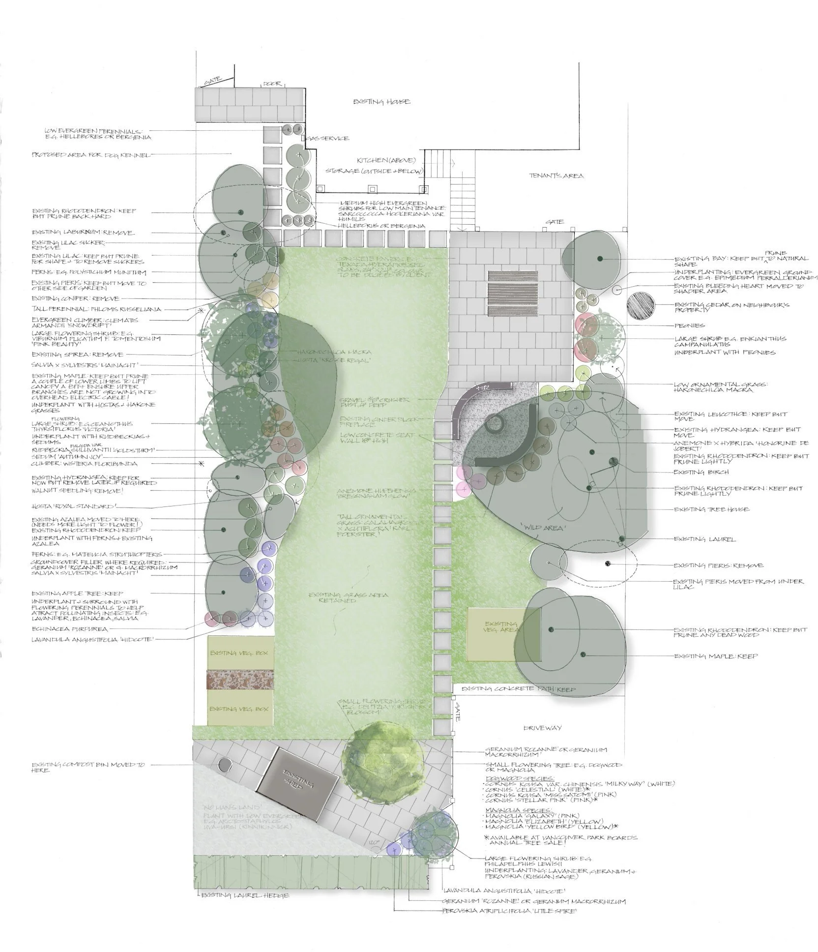 Final landscape plan for back garden
