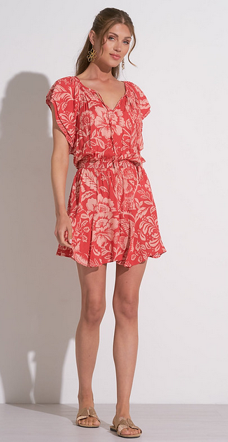 Elan Red and Pink dress 4 .png