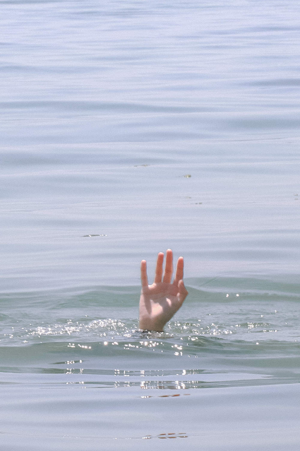 Treading water — I did the health + wellness homework for you!