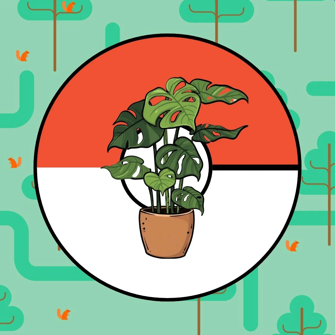 Ep. 9: Plant Swap