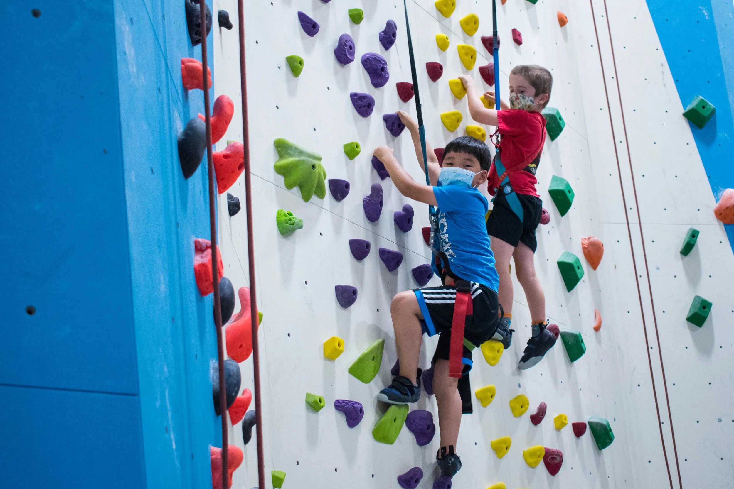 Indoor Rock Climbing Ontario Our Youth Recreation Programs — Junction