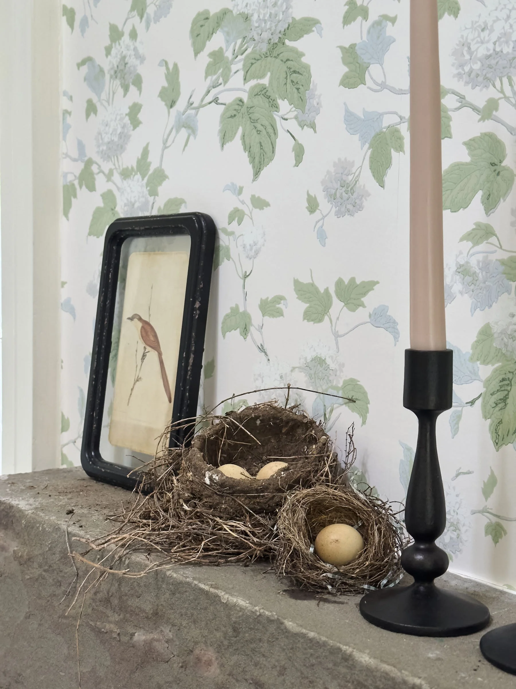 Davis Raines iphonedetails_olson_012.jpg