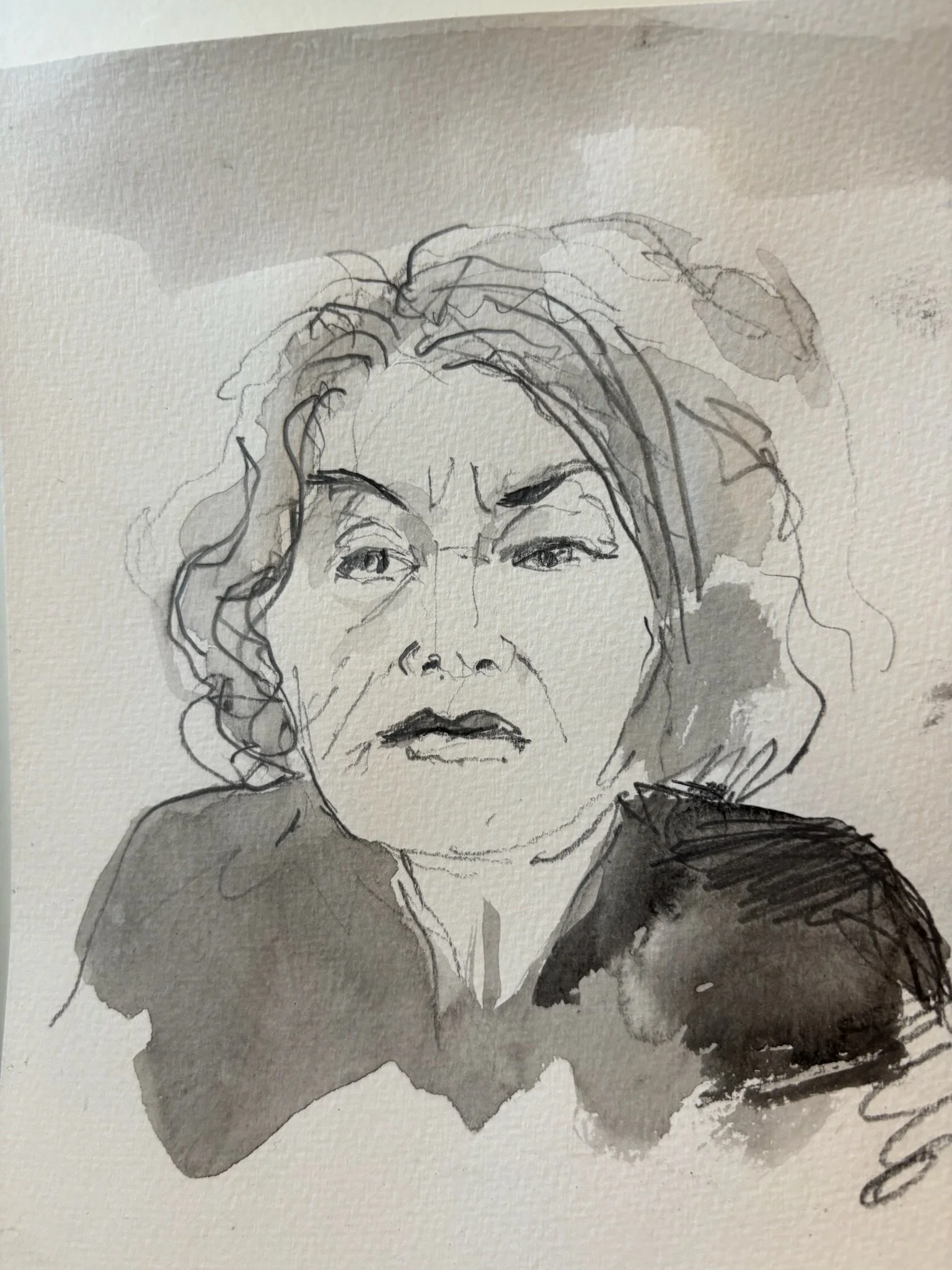 Quick Portrait Inks