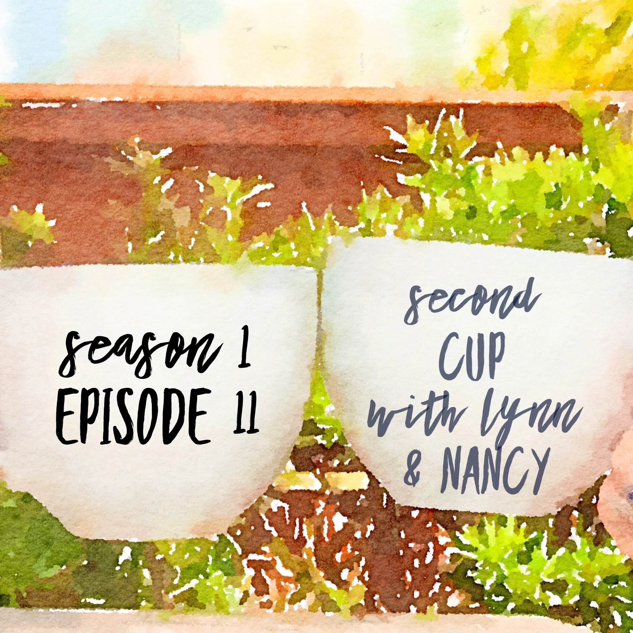 Episode Eleven: Impressions and Image Control