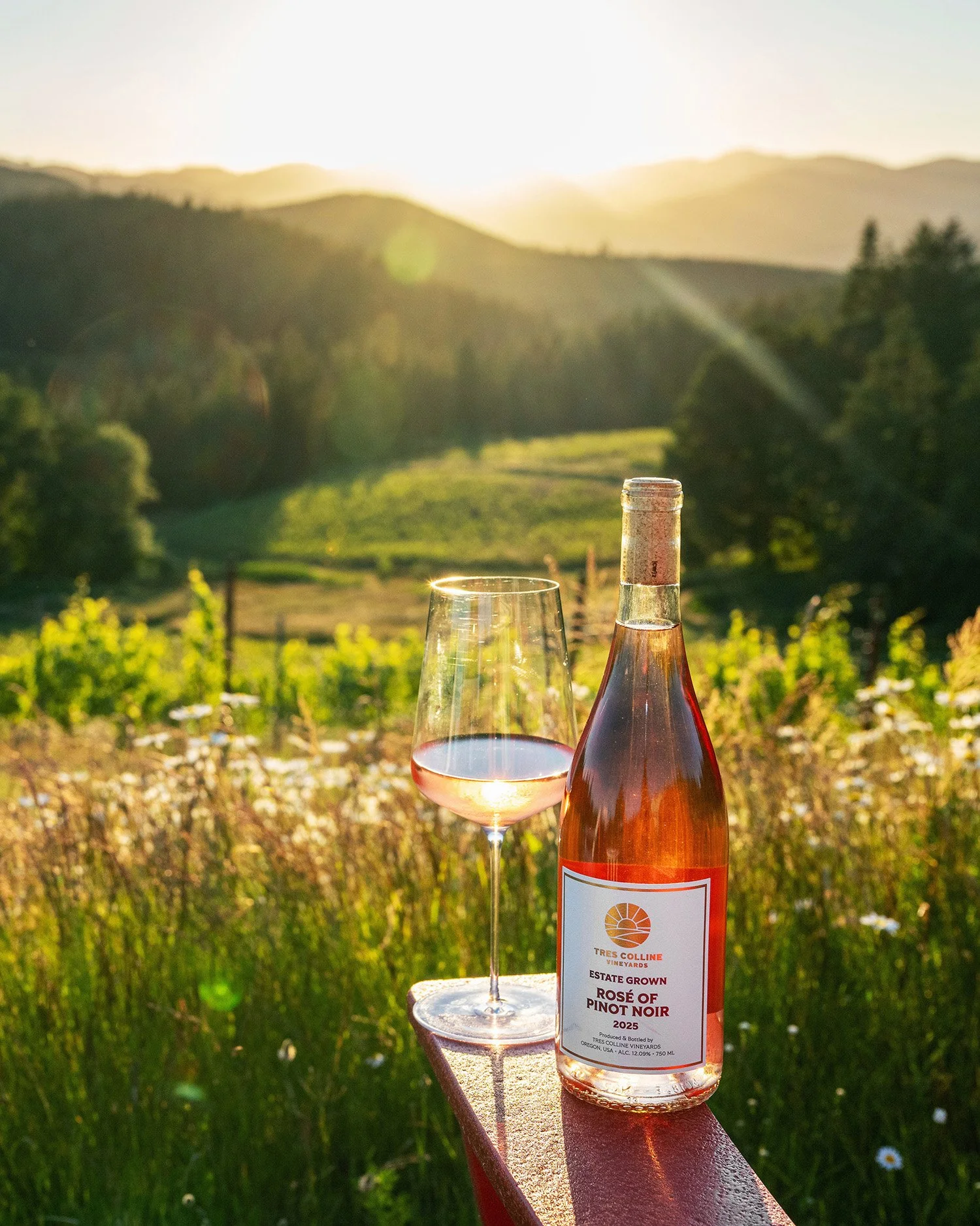 A glass of pink rosé wine and a bottle of wine on a red railing with a vineyard and sunset mountains in the background.