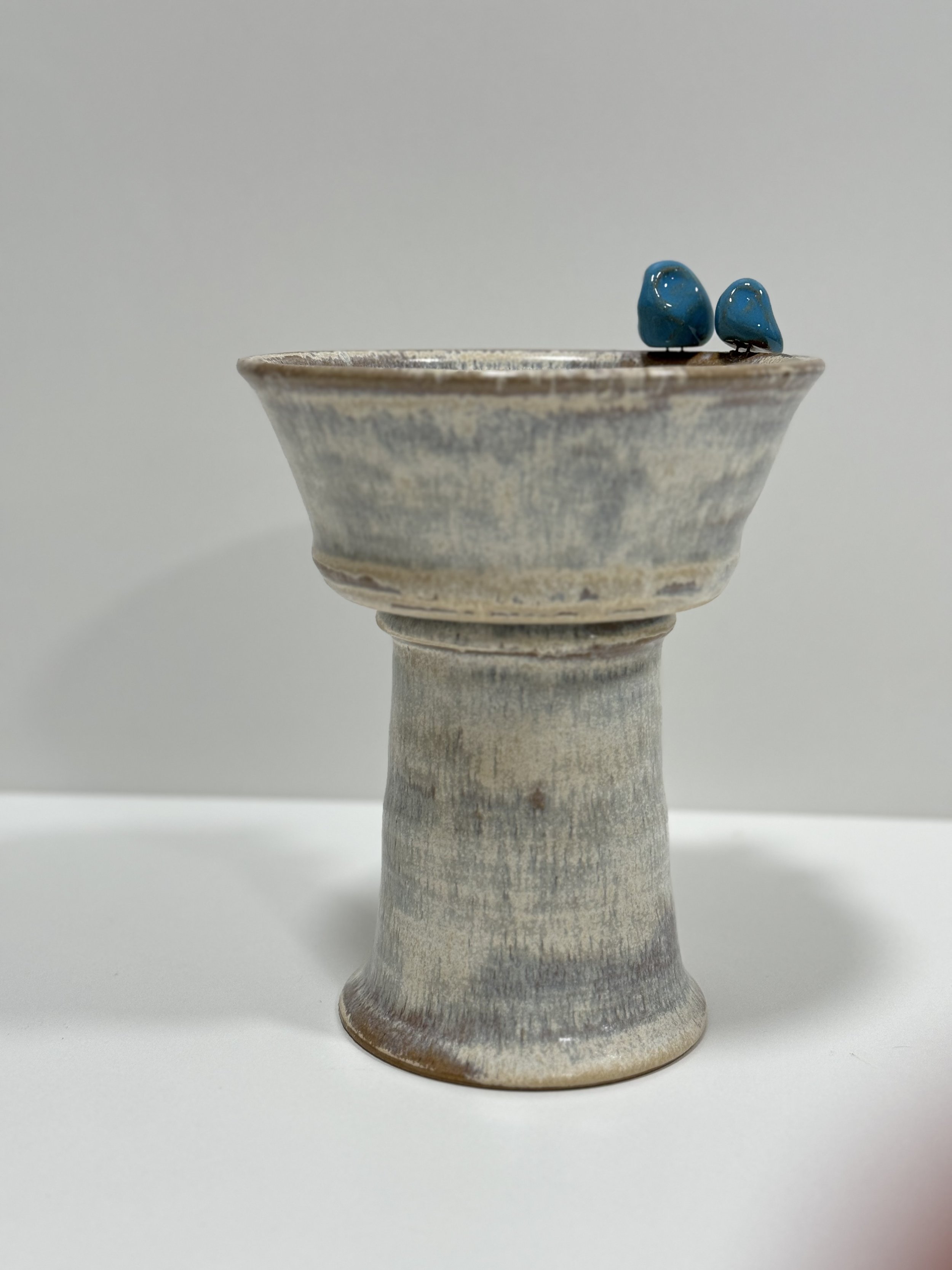 TheSuzShine bluebird bird bath.jpeg
