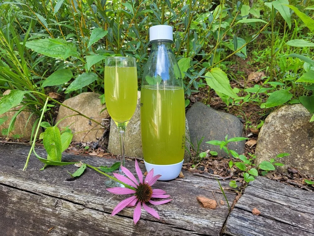 Sparkling Tea Tasting with Kintsugi House
