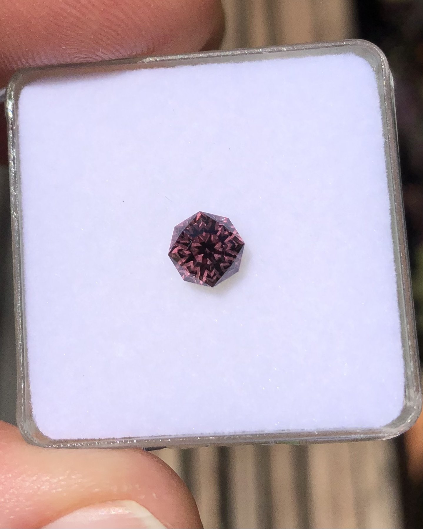 CC Garnet 7.jpeg