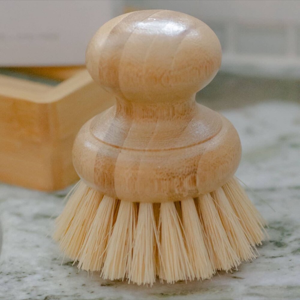 CASA AGAVE™ Pot Scrubber Brush – Humble Suds