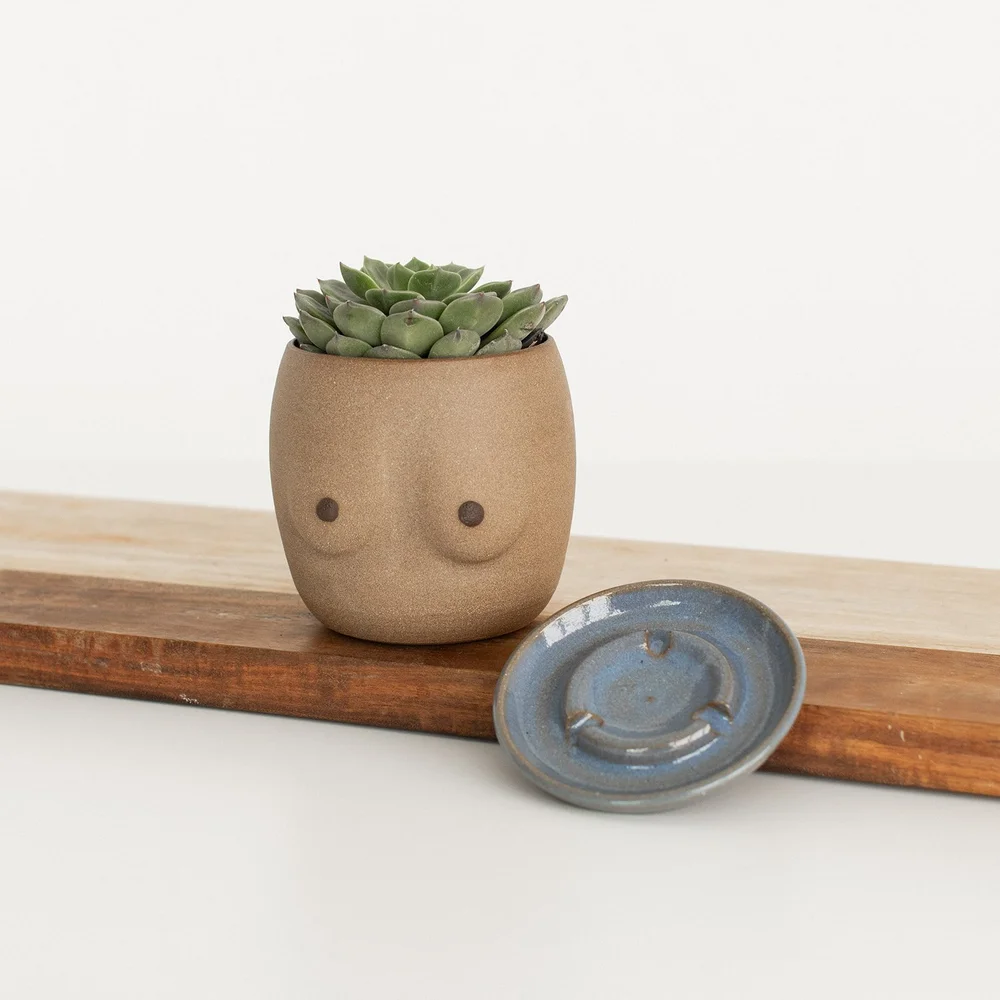Venus Planter Set  Less Is More Studios